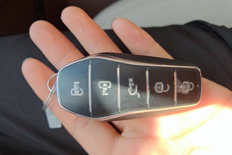 BYD Xia 2025 #8 BYD Xia 2025 imagen de coche #8