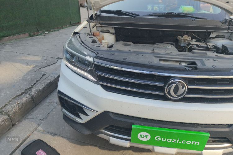 Forthing JOYEAR X5 2017 car image #8