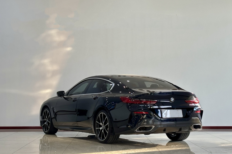 BMW 8 Series 2022 #8 BMW 8 Series 2022 car image #8