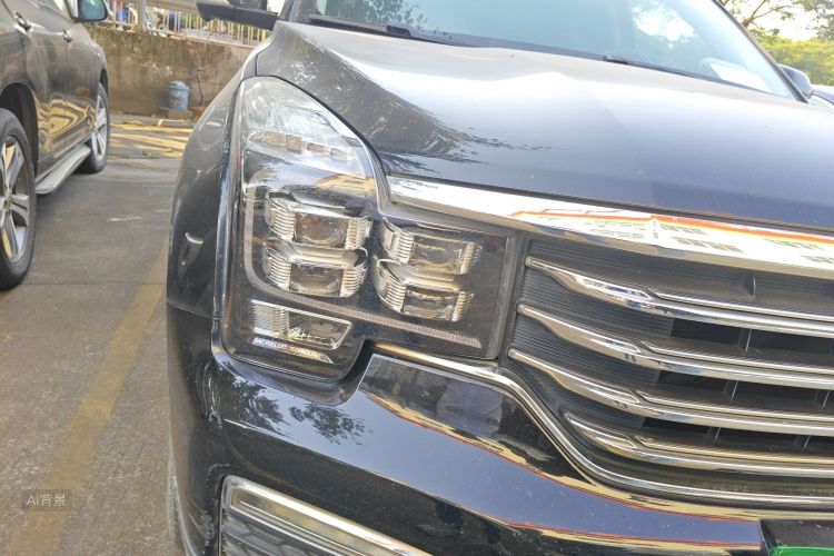 GAC Trumpchi GS8 2019 car image #8