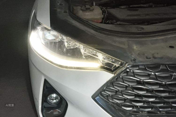 Haval F7 2019 car image #8