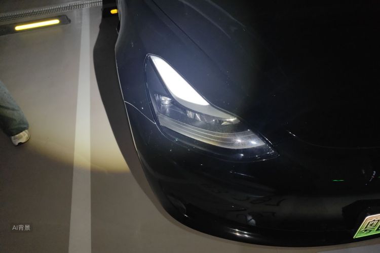 Tesla Model 3 2021 car image #8