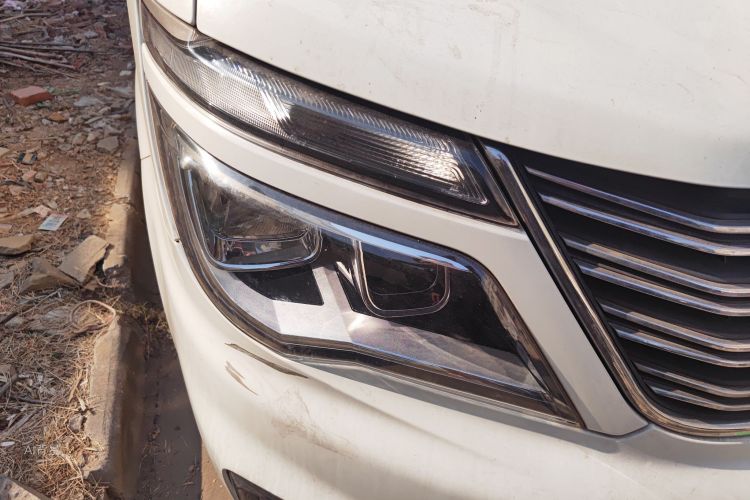 Forthing Lingzhi 2019 immagine di auto #8