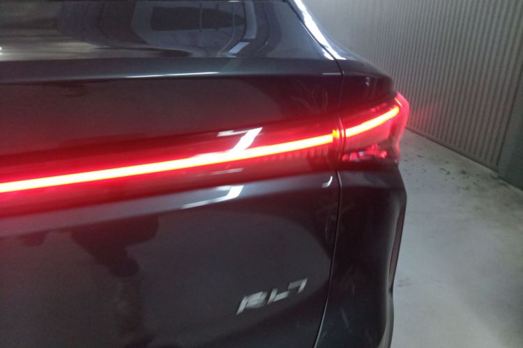 Livan 7 2025 imagen de coche #8