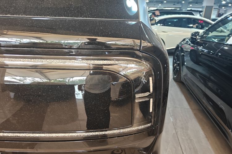 极氪 极氪9X 2025 汽车图片 #8