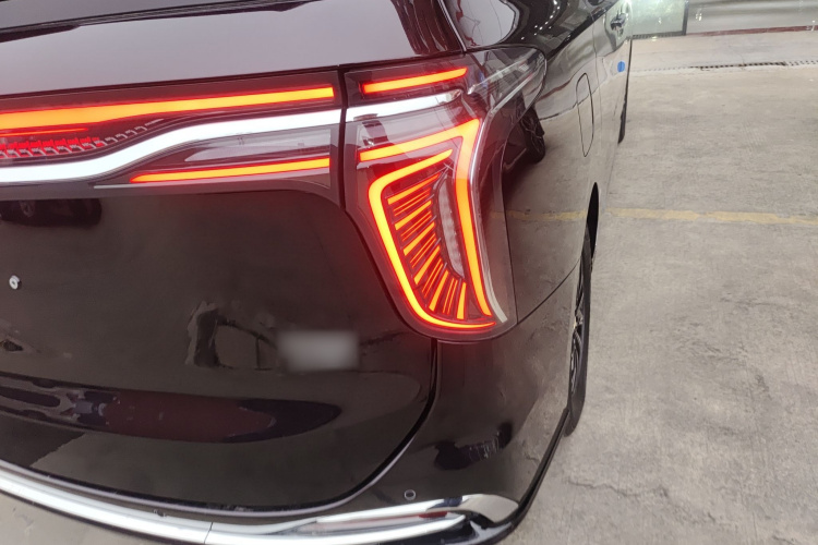 HongQi HQ9 PHEV 2024 car image #8