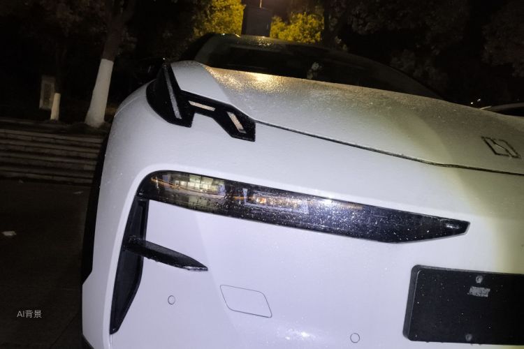 极氪 极氪X 2023 汽车图片 #8