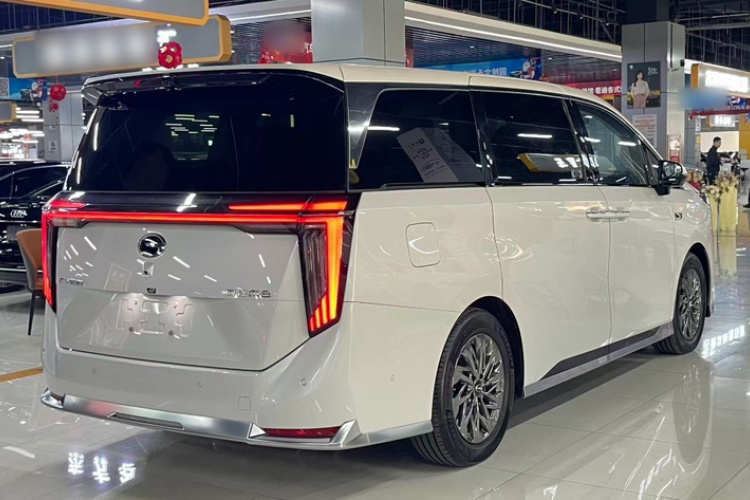 GAC Trumpchi Xiangwang M8 car image #8