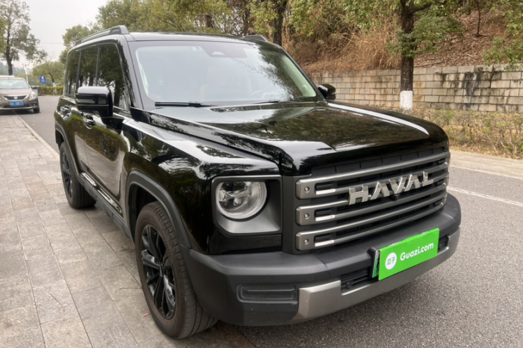 Haval Raptor New Energy 2023 car image #8