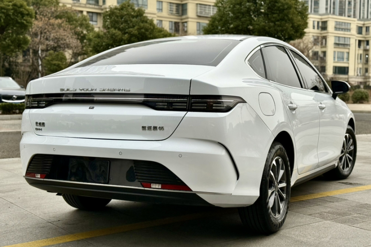 BYD Destroyer 05 2024 car image #8