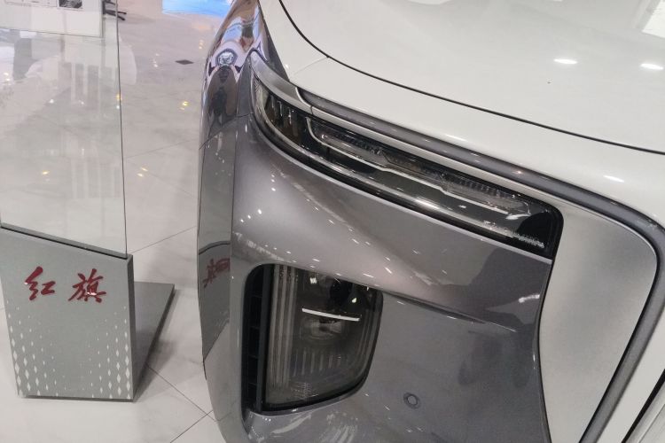 HongQi E-HS9 2023 car image #8