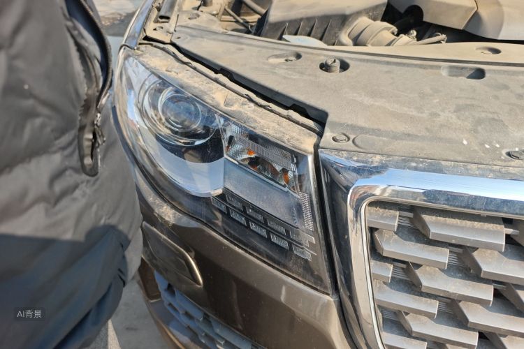 Haval H8 2017 #8 Haval H8 2017 immagine di auto #8