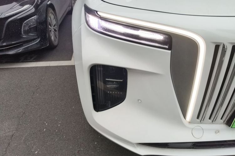 HongQi E-HS9 2023 imagem de carro #8