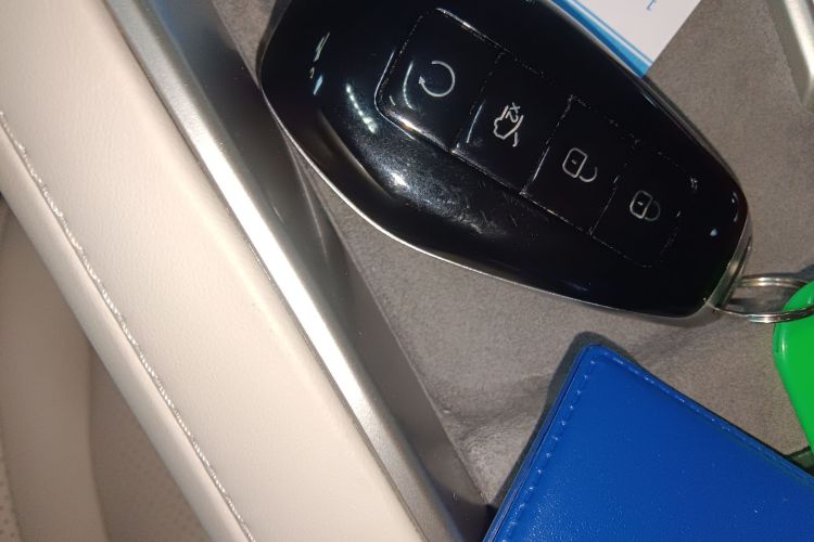 Denza Z9 2024 immagine di auto #8