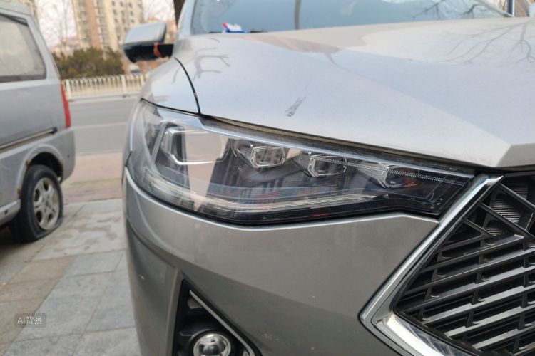 Haval F7 2021 car image #8