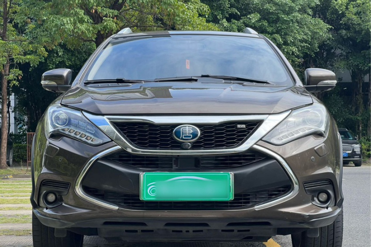 BYD Tang New Energy 2018 car image #8