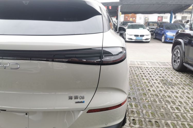 BYD Sea Lion 06 New Energy 2025 car image #8