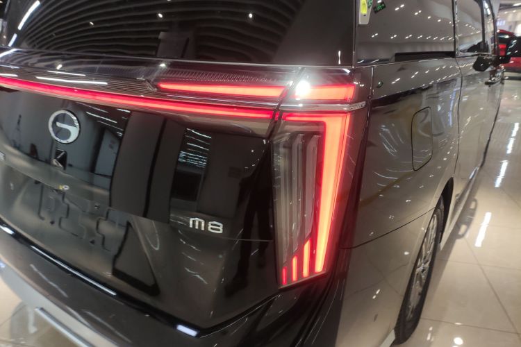 GAC Trumpchi Xiangwang M8 2025 car image #8