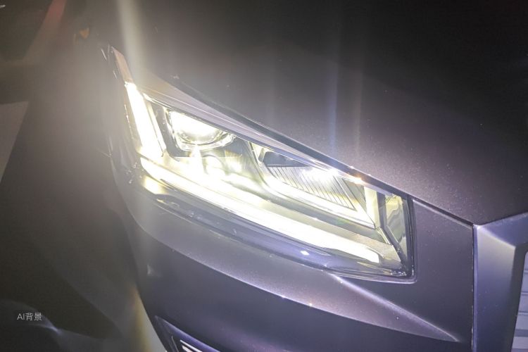 奥迪Q2L e-tron 2020 汽车图片 #8