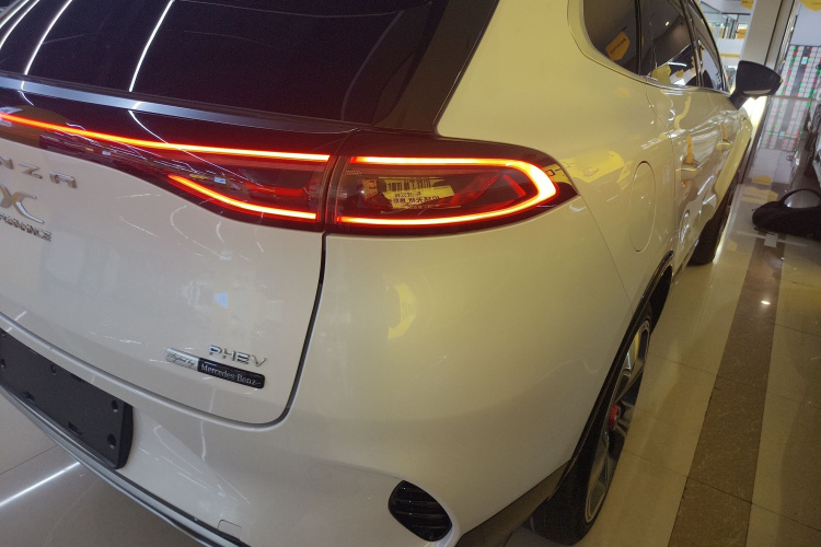 Denza X 2021 car image #8