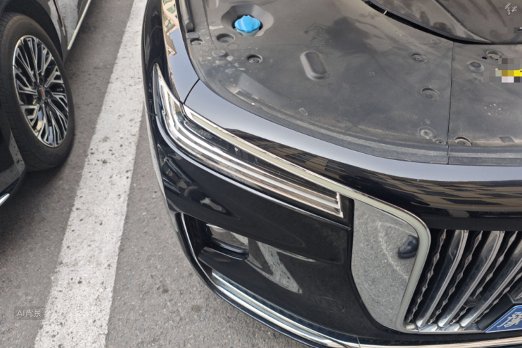 HongQi H9 2021 #8 HongQi H9 2021 car image #8