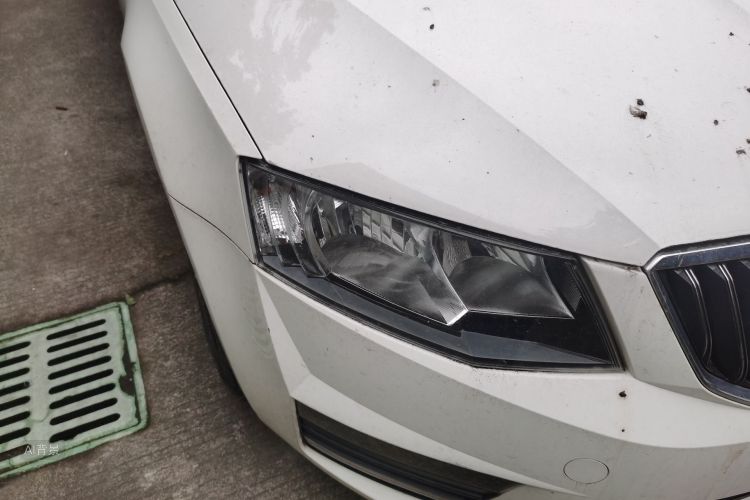 Skoda Octavia 2018 car image #8