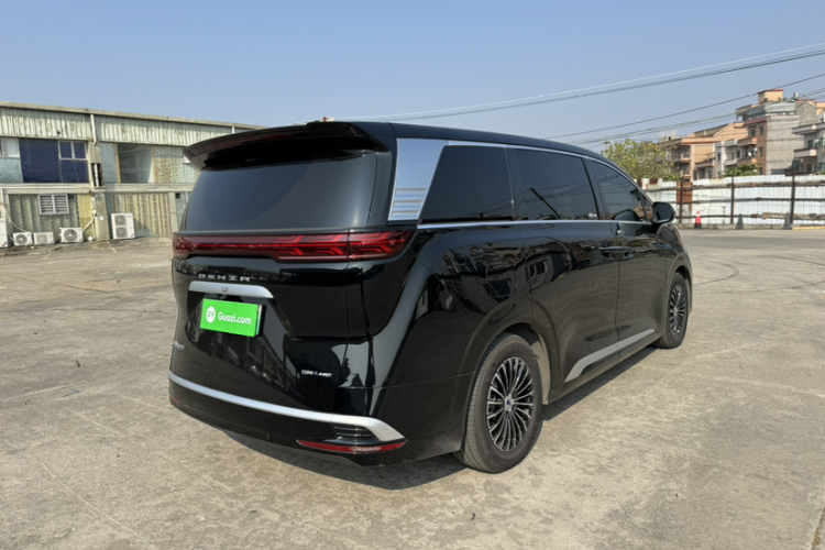 Denza D9 2025 car image #8