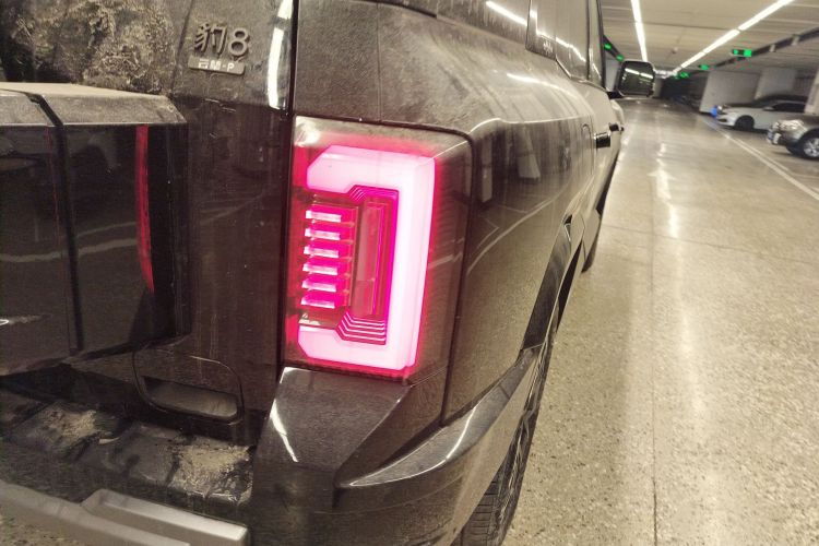 FangChengBao Leopard 8 2024 car image #8