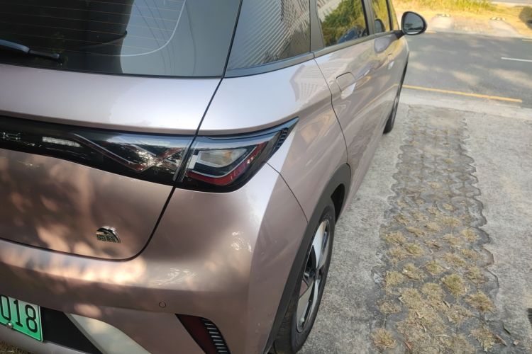 BYD Dolphin 2023 car image #8