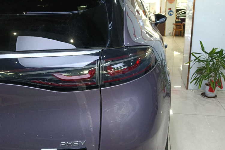 Denza X 2021 изображение автомобиля #8