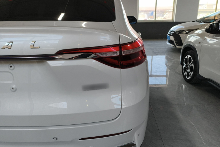 Haval F7x 2020 car image #8