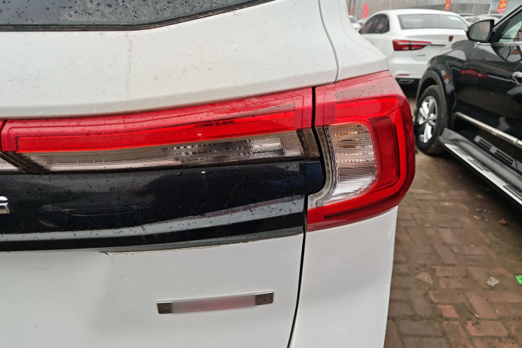 T5 2019 #8 T5 2019 immagine di auto #8
