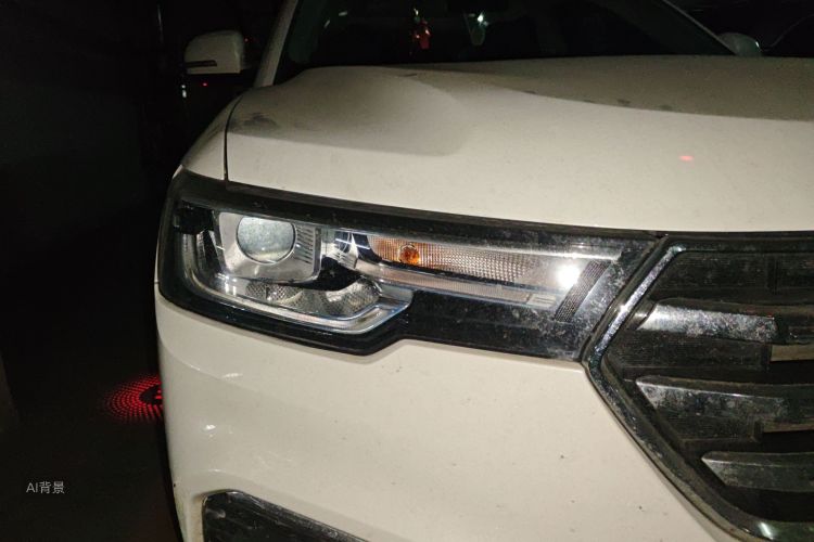 Haval H7 2021 car image #8