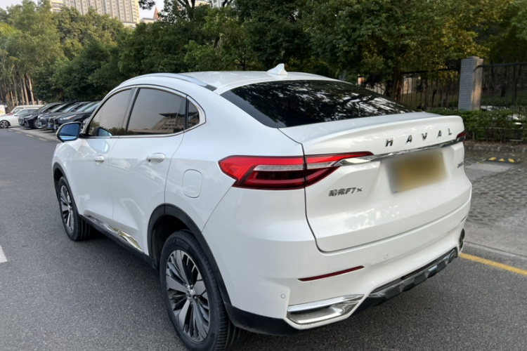 Haval F7x 2020 #8 Haval F7x 2020 immagine di auto #8