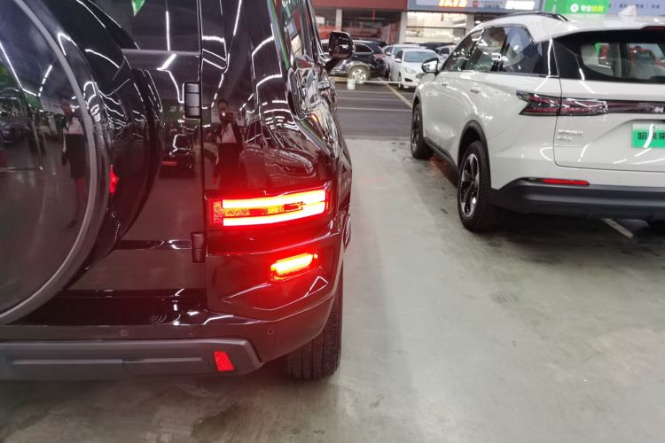 Tank 700 New Energy 2024 car image #8