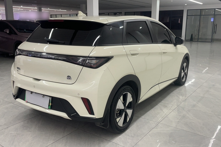 BYD Dolphin 2023 car image #8