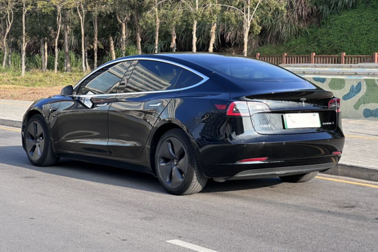 Tesla Model 3 2020 car image #8