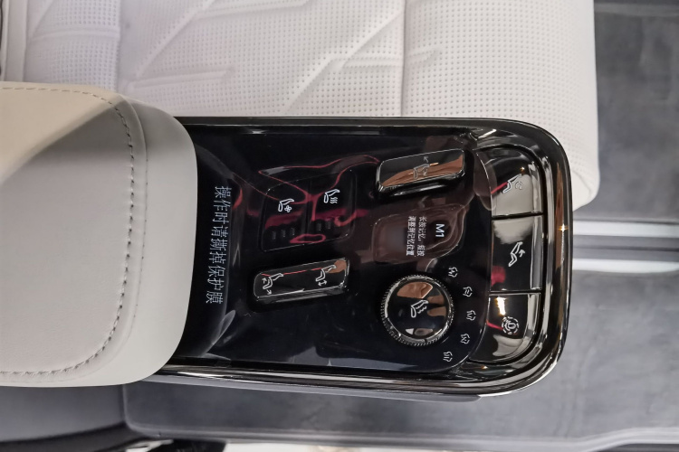 极氪 极氪009 汽车图片 #8