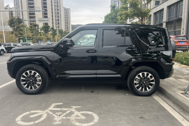 Tank 700 New Energy 2024 #8 Tank 700 New Energy 2024 immagine di auto #8