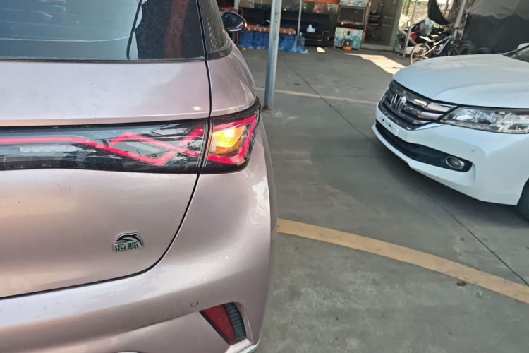 BYD Dolphin 2022 #8 BYD Dolphin 2022 car image #8