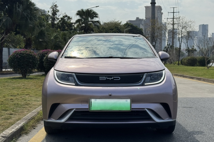 BYD Dolphin 2023 car image #8