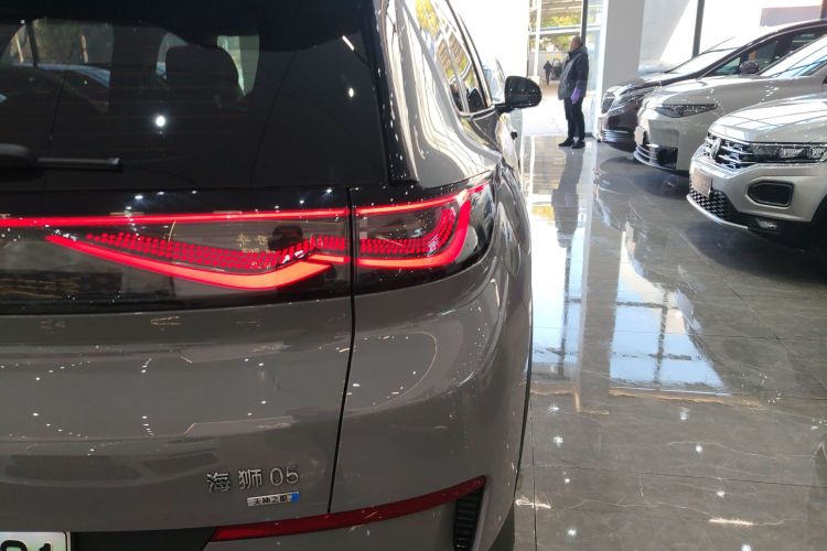 BYD Sea Lion 05 EV 2025 car image #8