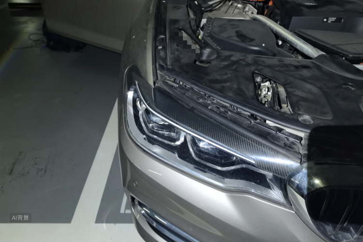 BMW 5 Series New Energy 2020 car image #8