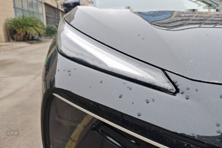 T5 EVO 2021 car image #8