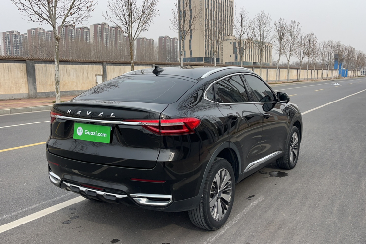 Haval F7x 2020 car image #8