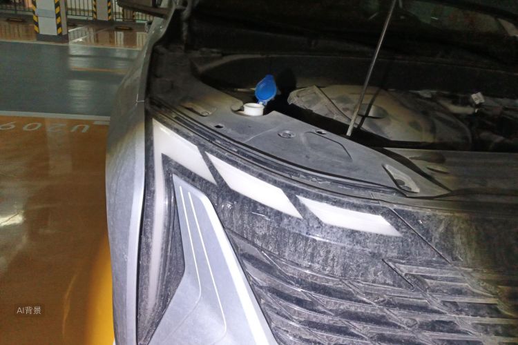 GEELY Boyue L 2022 imagem de carro #8