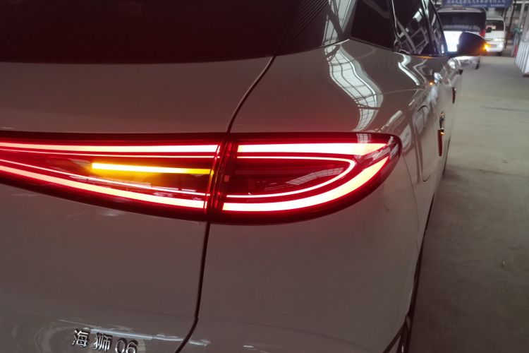 BYD Sea Lion 06 New Energy 2025 car image #8