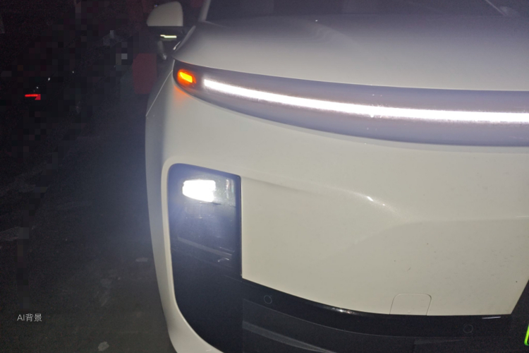 Li L6 2025 imagen de coche #8