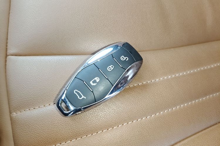 HongQi HQ9 PHEV 2024 #8 HongQi HQ9 PHEV 2024 car image #8