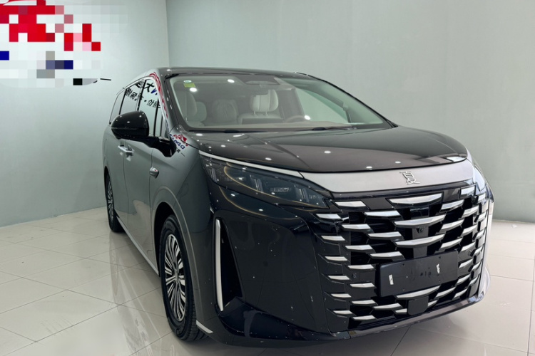 BYD Xia 2024 imagen de coche #8